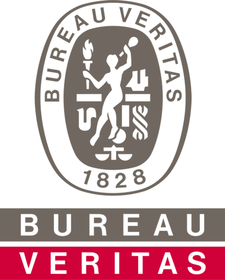 logo veritas